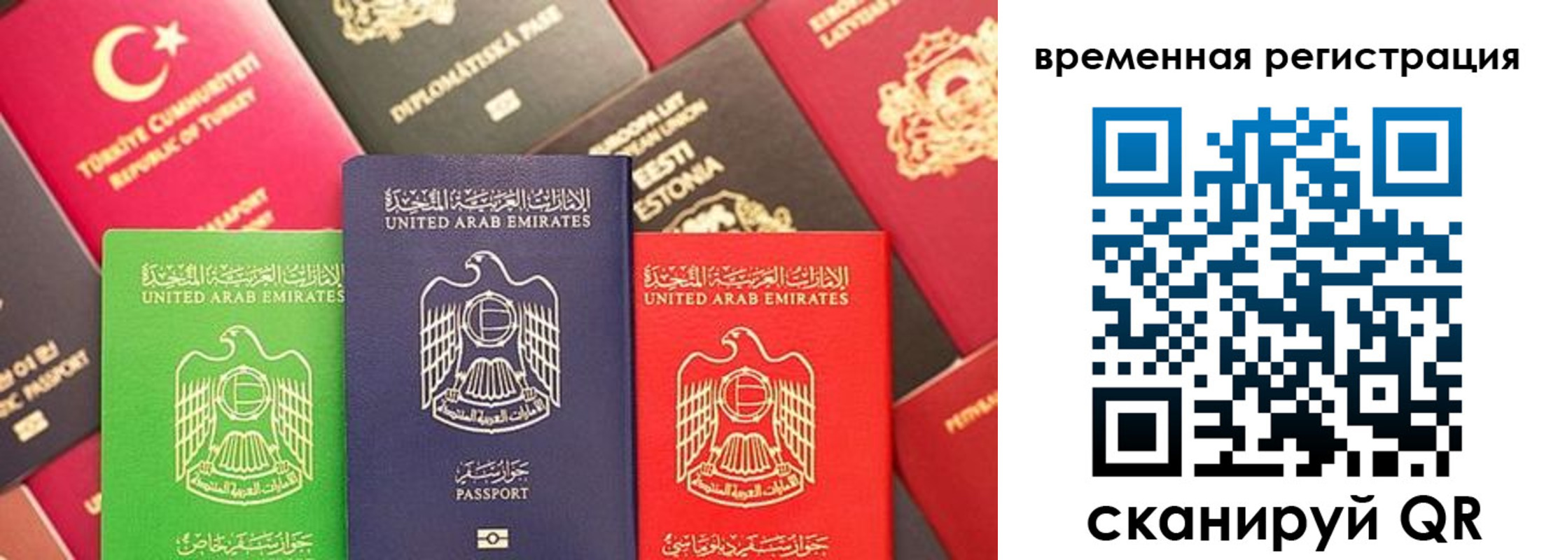 временная регистрация гарантия в Коле